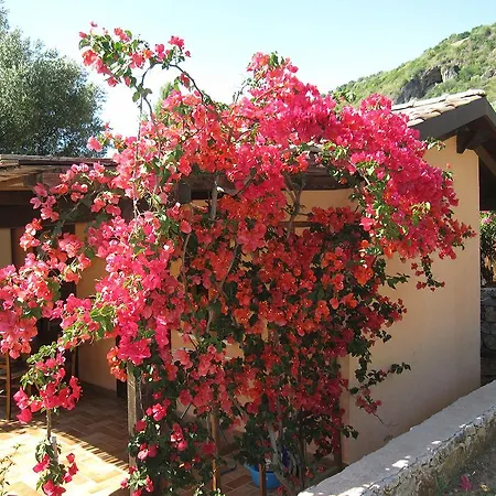 Holiday park Family Cala Di Luna 3*